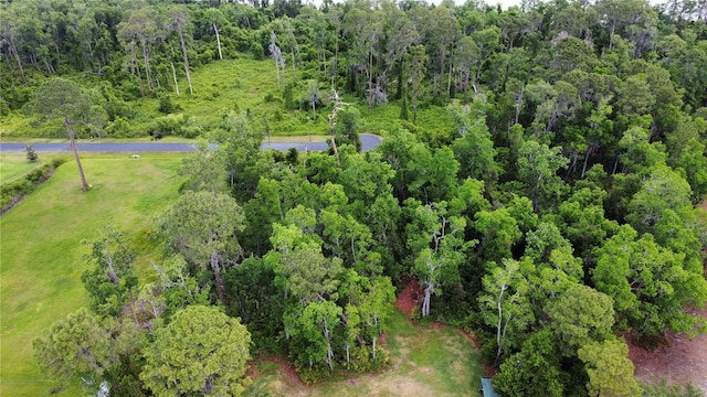 Mill Pond Rd, Tavares, FL 32778 - photo 5