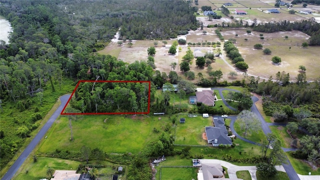 Mill Pond Rd, Tavares, FL 32778 - photo 1