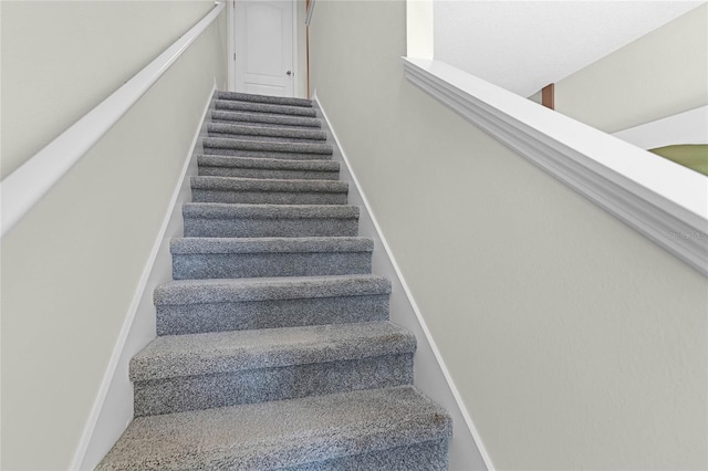 staircase featuring carpet floors