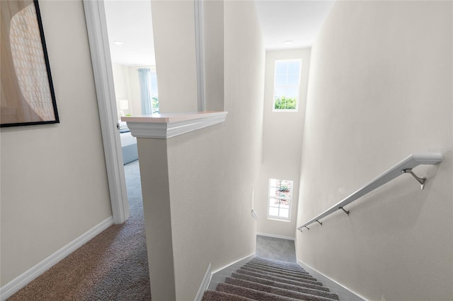 staircase with carpet floors