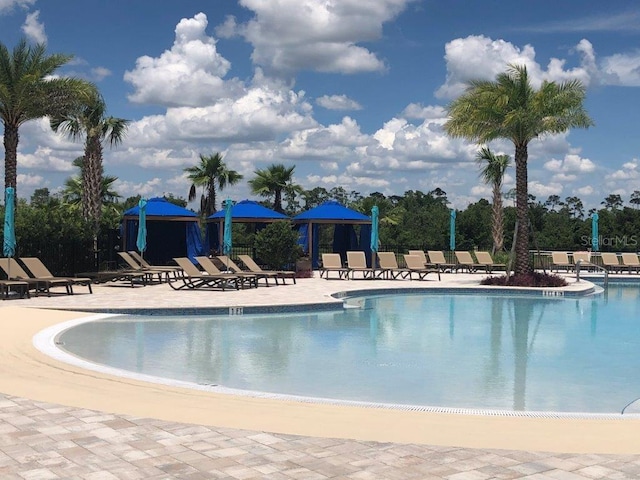 view of pool with a patio