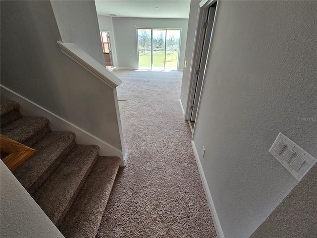 stairway with carpet floors