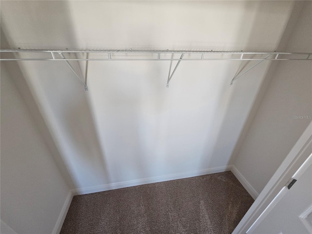 spacious closet with carpet floors