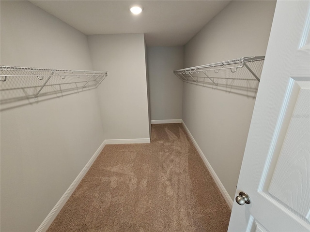 spacious closet with carpet