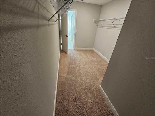 spacious closet featuring light carpet