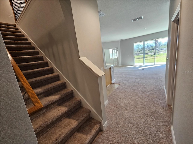 staircase with carpet