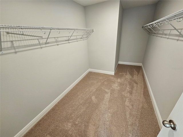 spacious closet with carpet floors