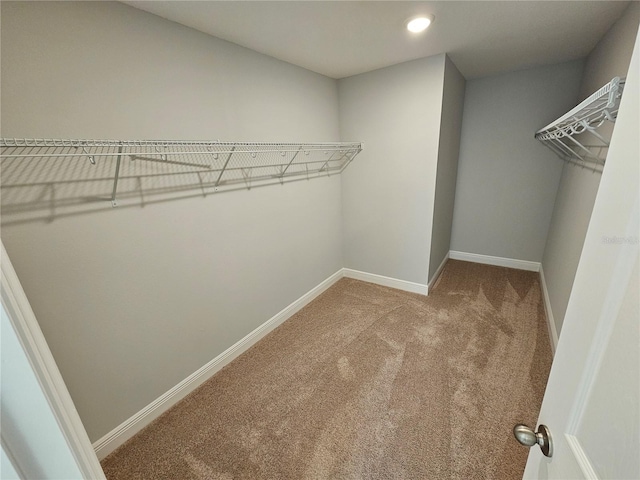 walk in closet featuring carpet flooring