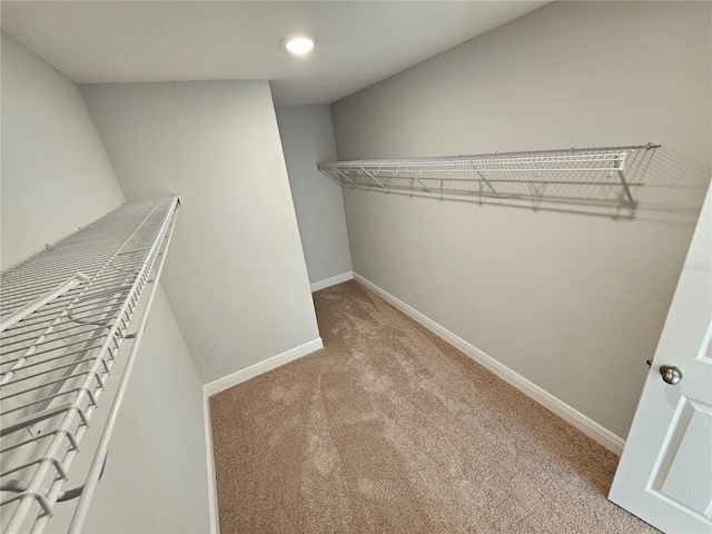 walk in closet with light colored carpet