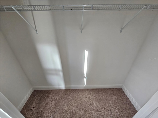 walk in closet featuring carpet floors