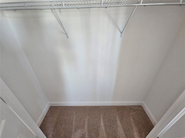 spacious closet featuring carpet flooring