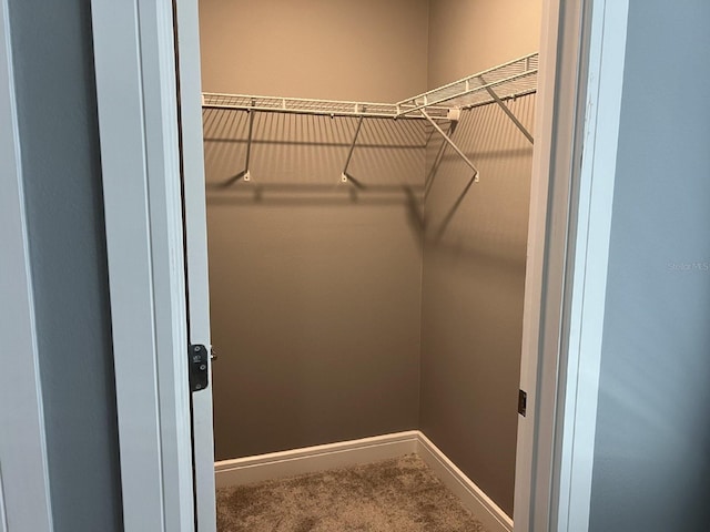 4535 Gliding Wave St, Winter Garden, FL 34787 - spacious closet featuring carpet