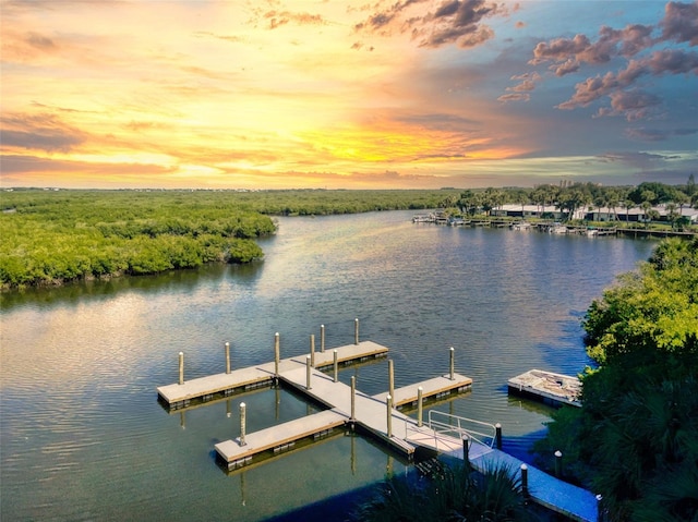 dock area featuring a water view