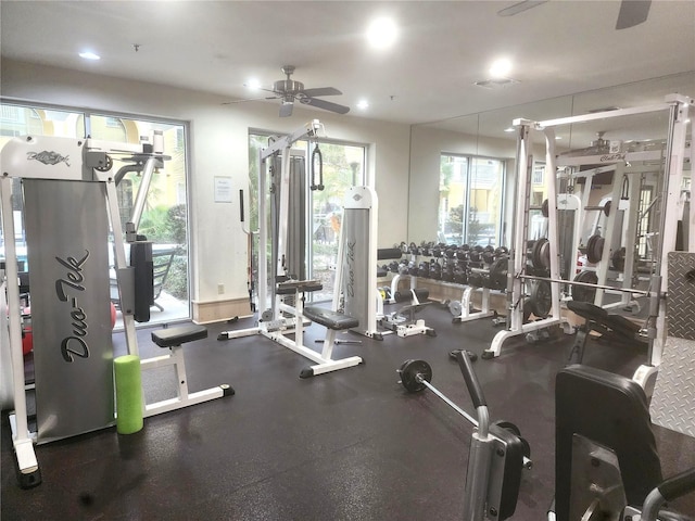 exercise room featuring a wealth of natural light and ceiling fan