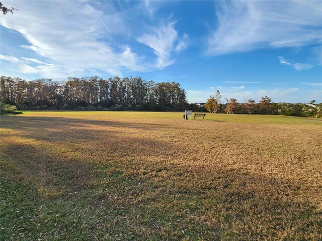 4032 Prairie Reserve Blvd, Orlando, FL 32824 - photo 47