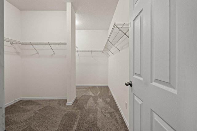 spacious closet featuring carpet floors