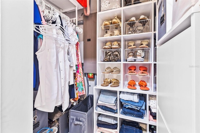 view of walk in closet