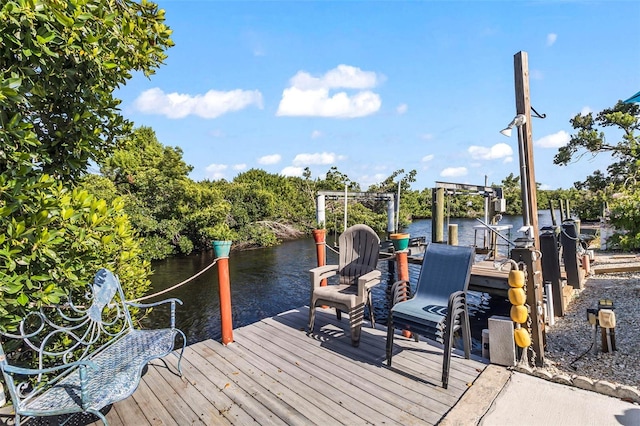 dock area with a water view