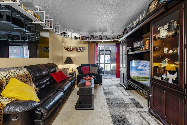 2868 N Powers Dr Unit 5, Orlando, FL 32818 - living area with a textured ceiling and carpet