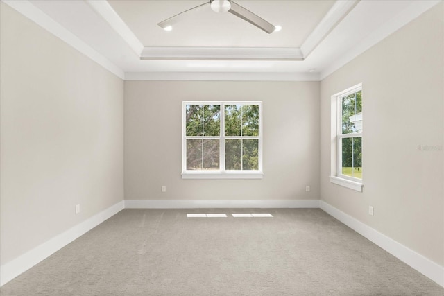 spare room with plenty of natural light, a tray ceiling, and light carpet