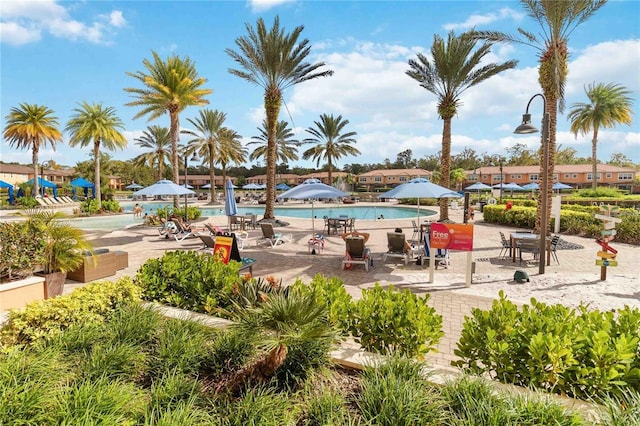 view of swimming pool