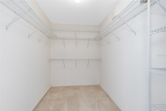 spacious closet featuring light carpet