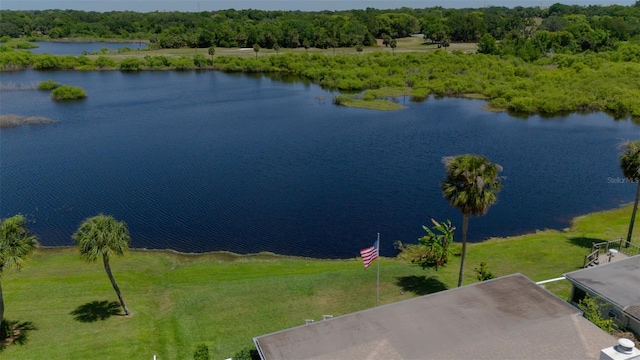 1433 Lake Marion Dr, Apopka, FL 32712 - bird's eye view featuring a water view