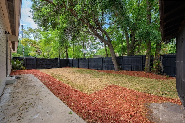 2803 E Pine St, Orlando, FL 32803 - view of yard with a fenced backyard and a gate