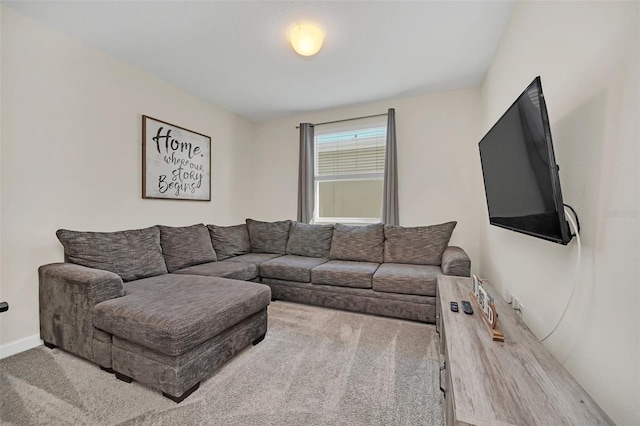 living room featuring light carpet