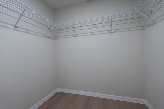 walk in closet featuring wood-type flooring