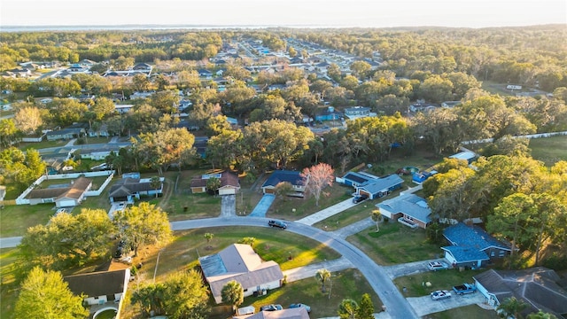 aerial view