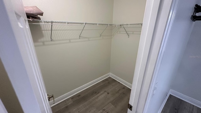 walk in closet featuring dark hardwood / wood-style flooring