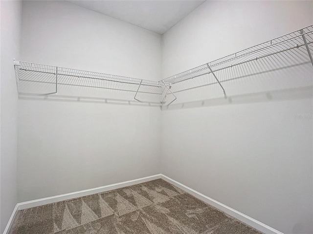 walk in closet featuring carpet flooring