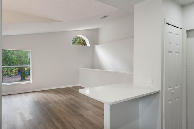 empty room featuring lofted ceiling and wood-type flooring