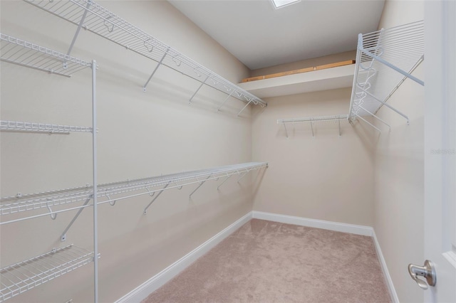 spacious closet featuring carpet