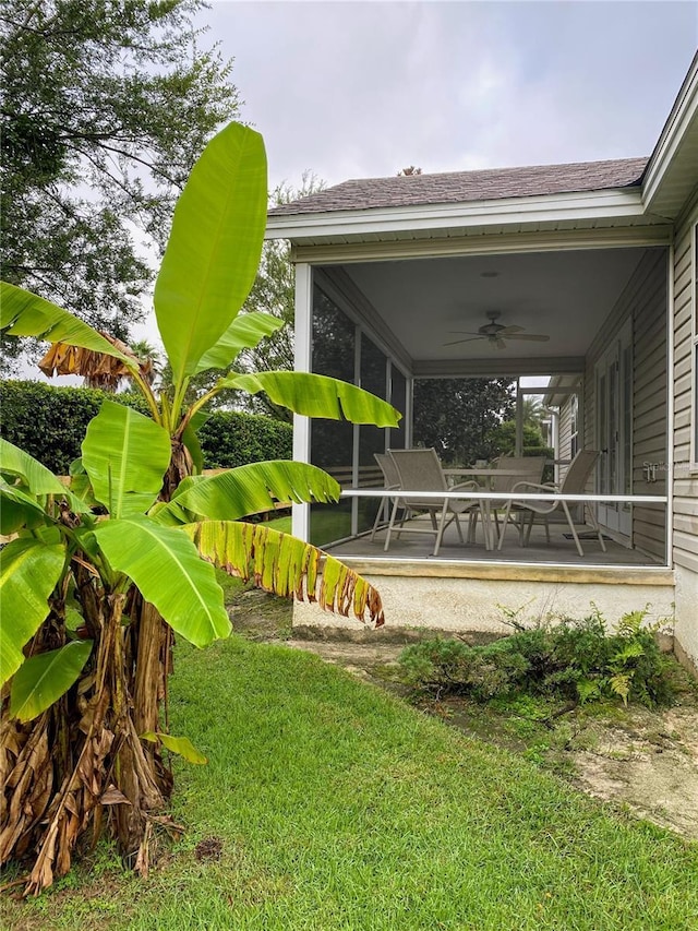 view of yard with ceiling fan and a sunroom