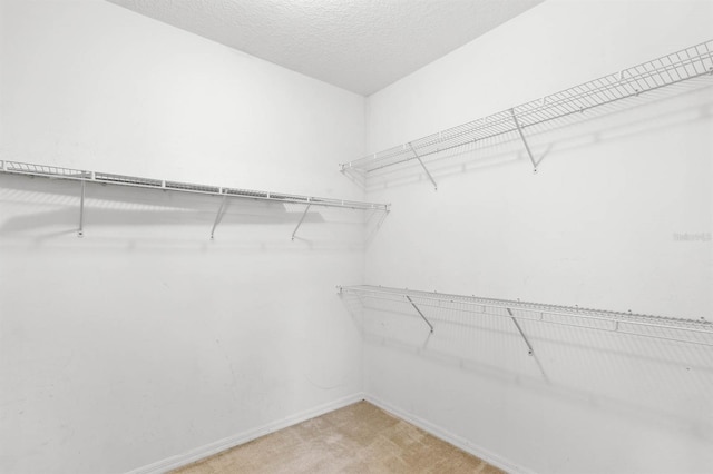 spacious closet featuring carpet floors