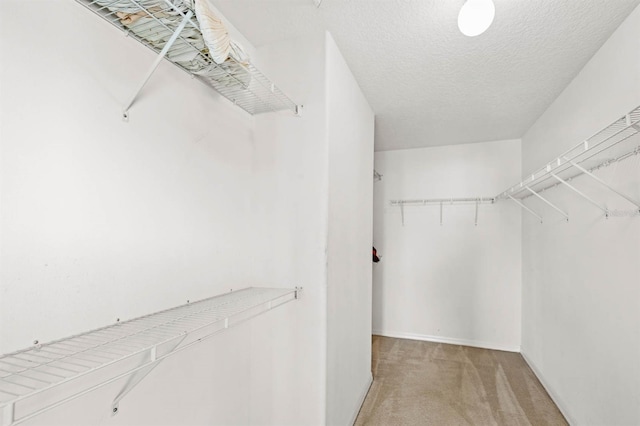 walk in closet with light colored carpet