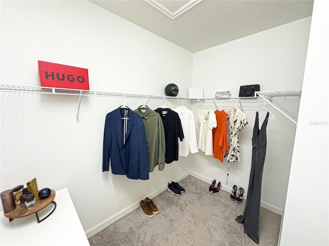 spacious closet featuring light carpet