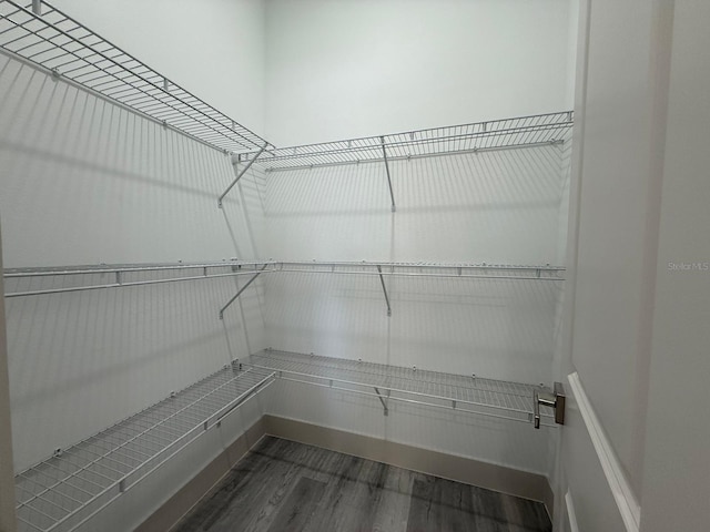 walk in closet with dark hardwood / wood-style flooring