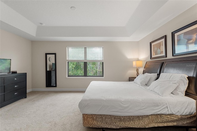 carpeted bedroom featuring a tray ceiling