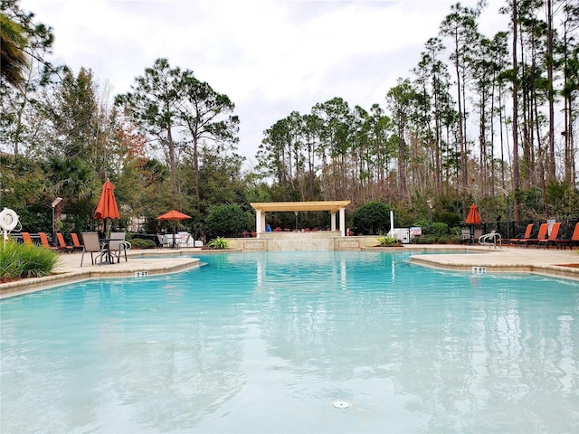 view of pool featuring a patio