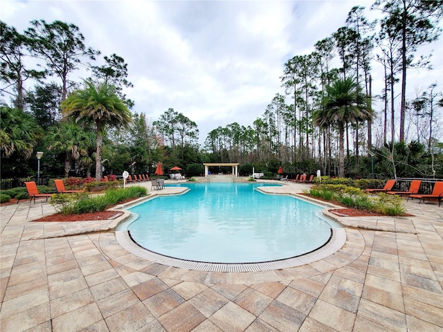 view of pool featuring a patio area