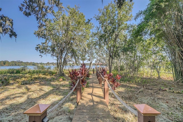 view of home's community with a water view