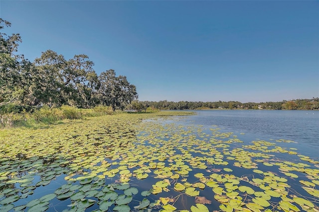 property view of water