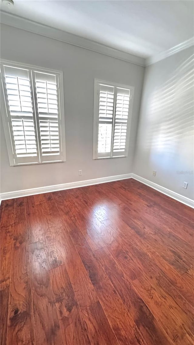 spare room featuring dark hardwood / wood-style floors and ornamental molding