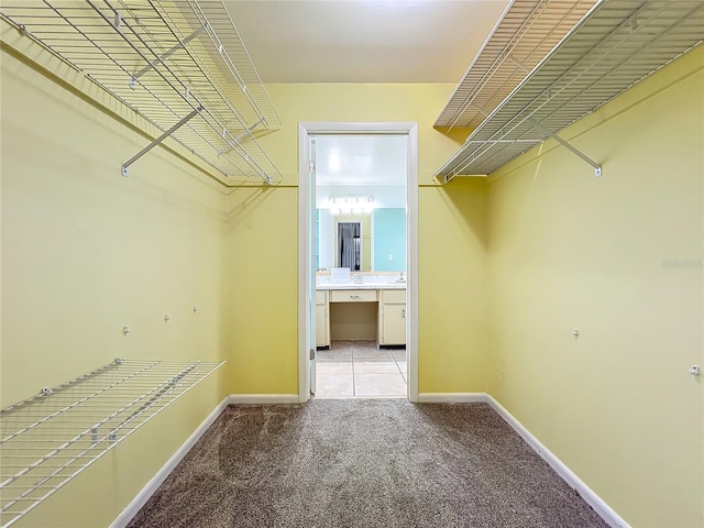 walk in closet with light colored carpet