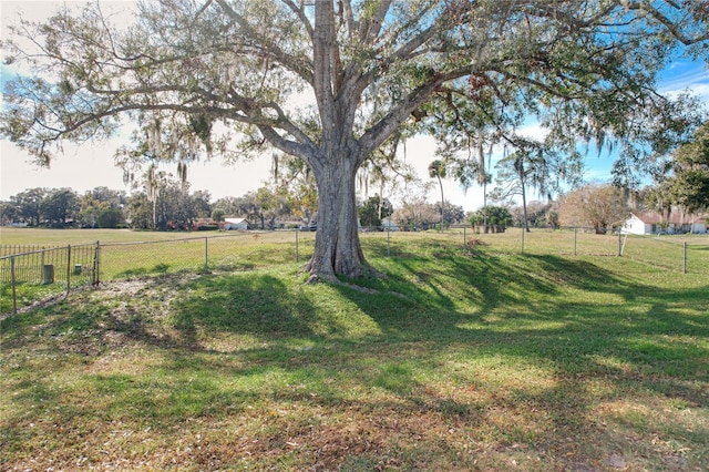 view of yard with a rural view