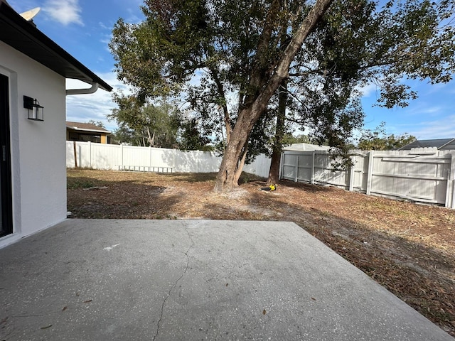 view of yard featuring a patio area