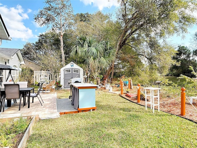 view of yard with a patio and a shed